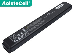 Batéria Inspired Energy LasairIII 110 PMS