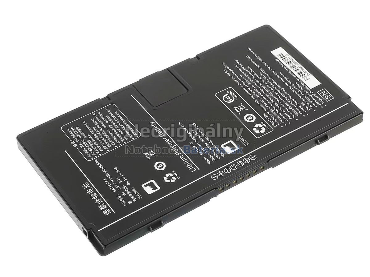 Náhradná batéria pre Iray BATTERY-X