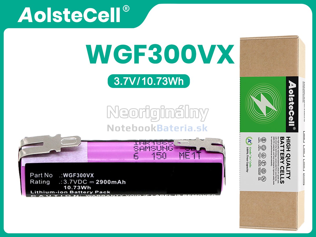 Náhradná batéria pre Karcher WV2